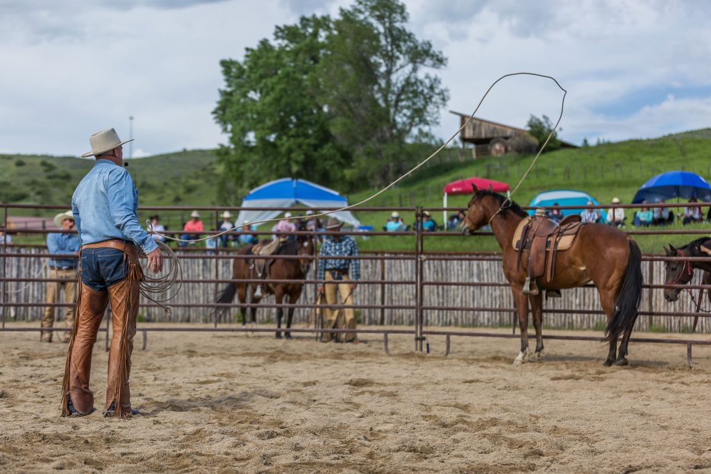 Buck Brannaman and his philosophy of working with horses helps horses accept humans and work confidently and responsively.