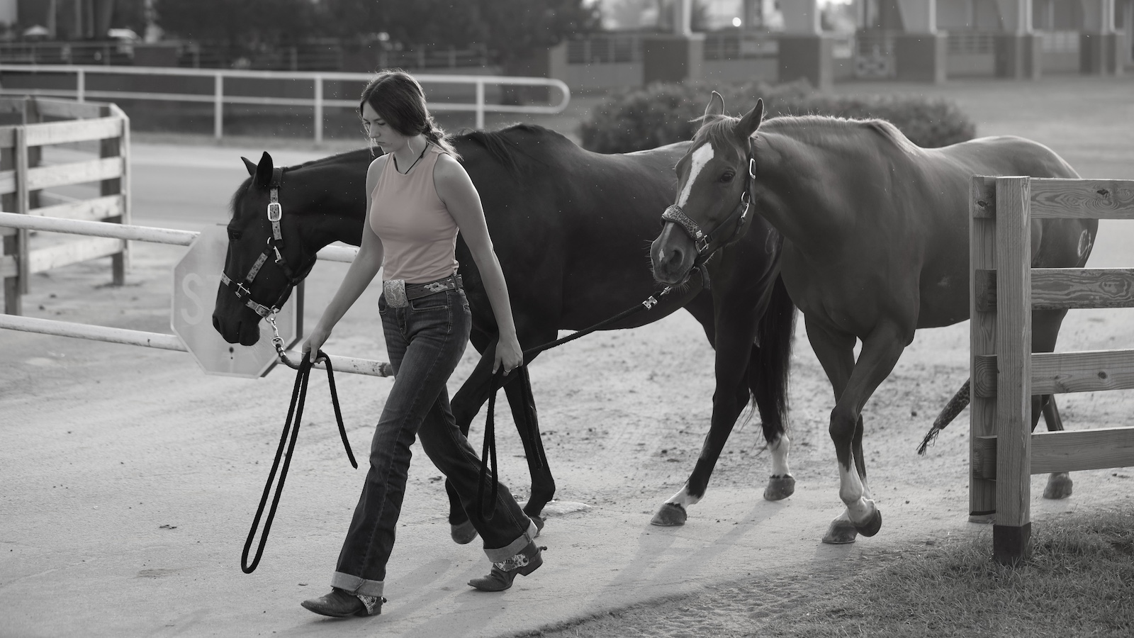 A girl leads two horses on a pathway.