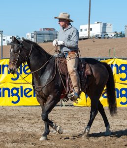 Buck Brannaman and his philosophy of working with horses helps horses accept humans and work confidently and responsively.
