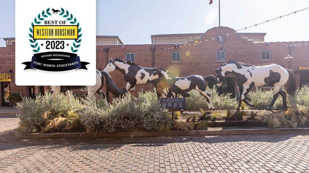 Best of Western Destinations: Fort Worth Stockyards