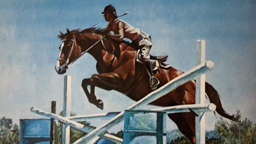 The ability 'to do' has proved to be an inherited characteristic across many disciplines, including making great jumping quarter horses.