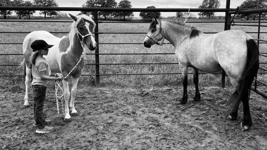 Here's a little known secret about the horse business: being in the horse business is really just being in the people business. 