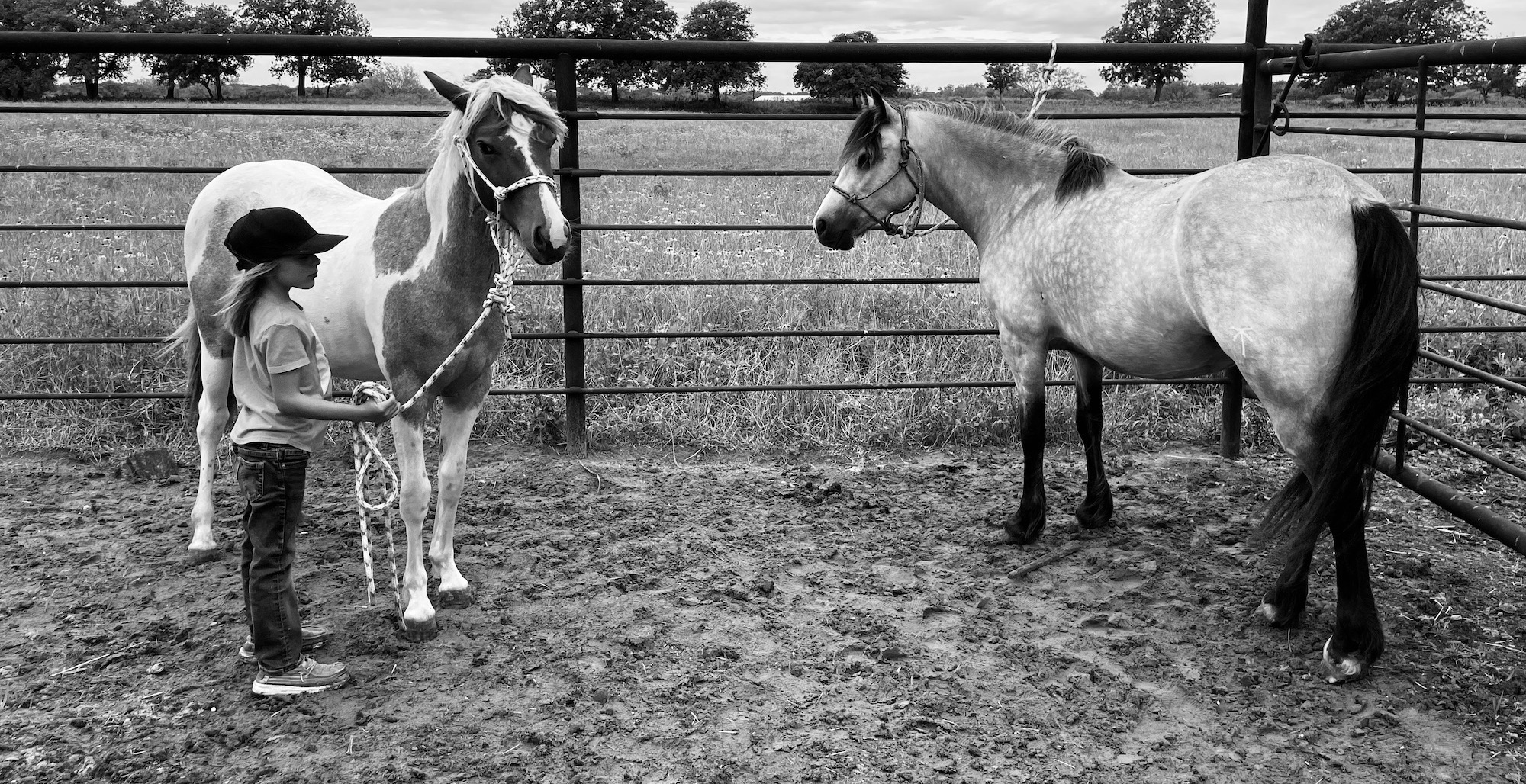 Here's a little known secret about the horse business: being in the horse business is really just being in the people business. 