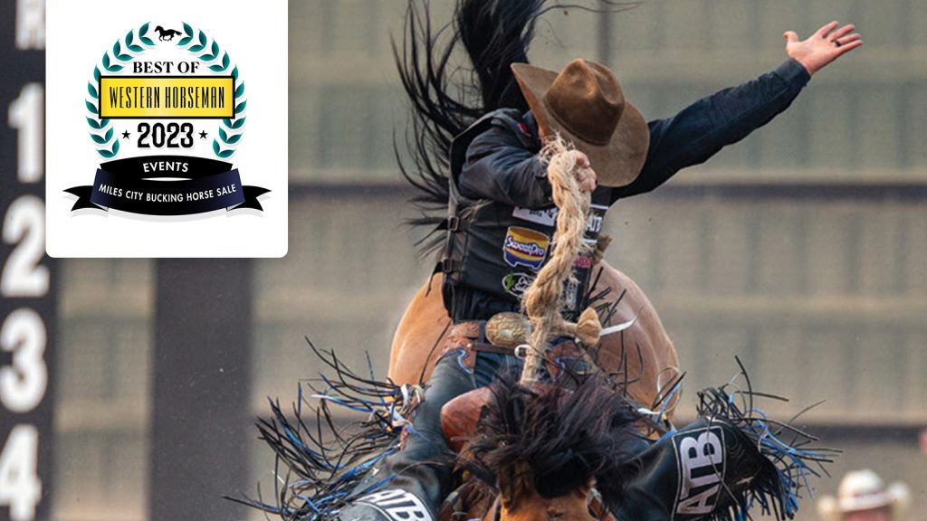 Best of Events: Miles City Bucking Horse Sale