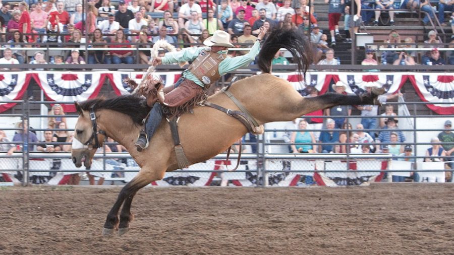 The Sankey family prides itself on top bucking horse bloodlines and efficient event production during the heat of the summer rodeo season.