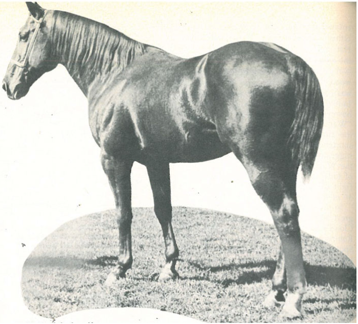 Known as the "Iron Horse," Clabber not only passed along his speed and durability to his offspring but his true grit and competitive spirit.