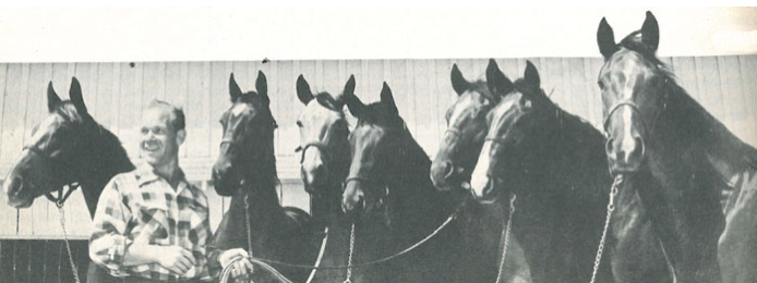 Known as the "Iron Horse," Clabber not only passed along his speed and durability to his offspring but his true grit and competitive spirit.