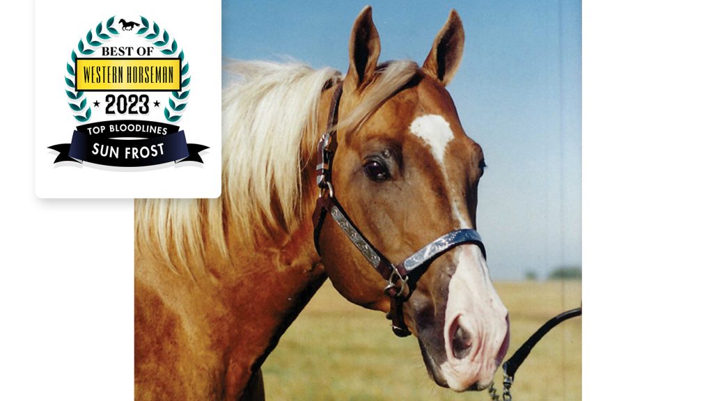 Best of Top Bloodlines: Sun Frost