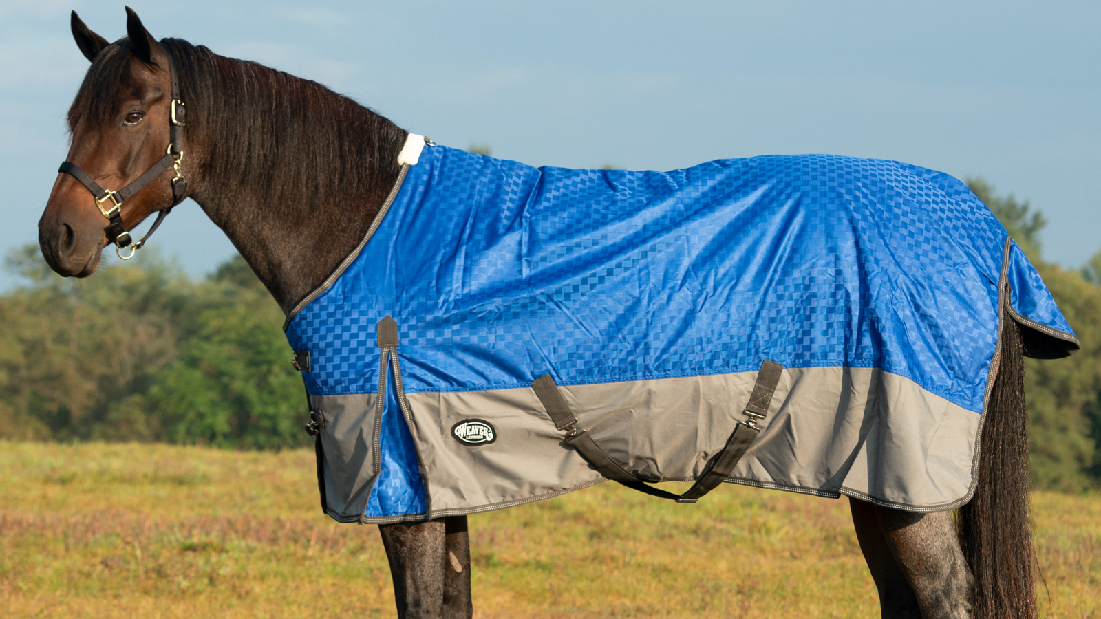 Weaver leather Horse blanket