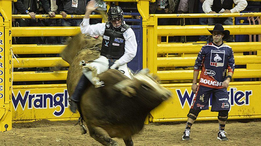 Here’s everything you need to know about the PRCA top 15 Bull Riders headed to the 2023 Wrangler NFR in December.