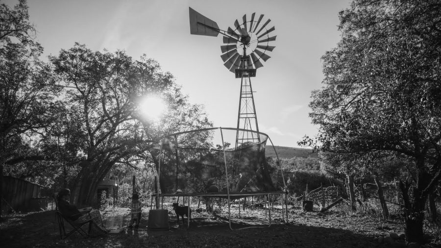 A book review of Jolyn Young's heartfelt memoir as she reveals the nitty-gritty reality of cowboy living through humor and grace.