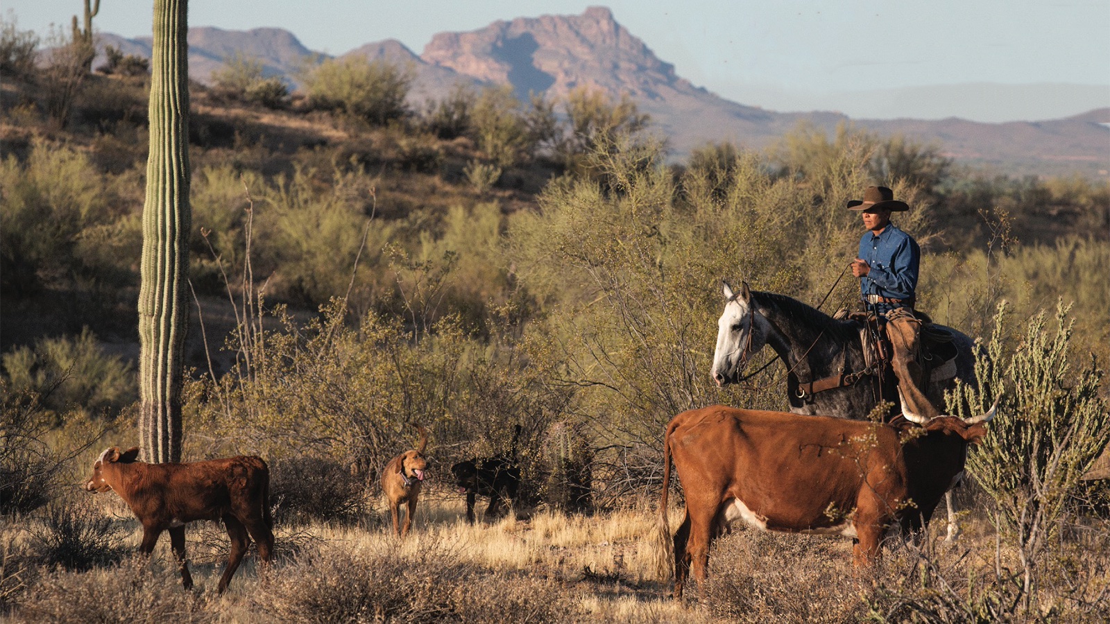 Derrick Begay made a name for himself in pro rodeo and paved the way for other Native American ropers in the arena.