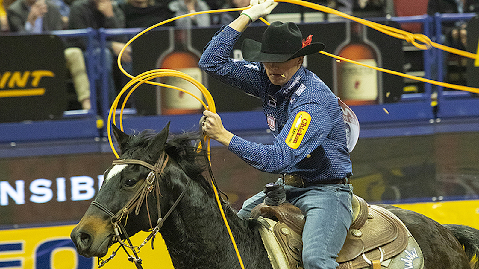 Here’s everything you need to know about the PRCA top 15 Team Roping Heelers headed to the 2023 Wrangler NFR in December.