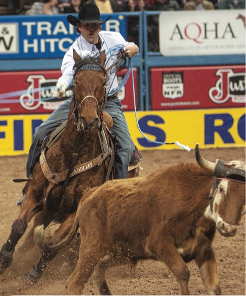 Studying the past decade of the Wrangler National Finals Rodeo, we list our top horse in all the NFR events.