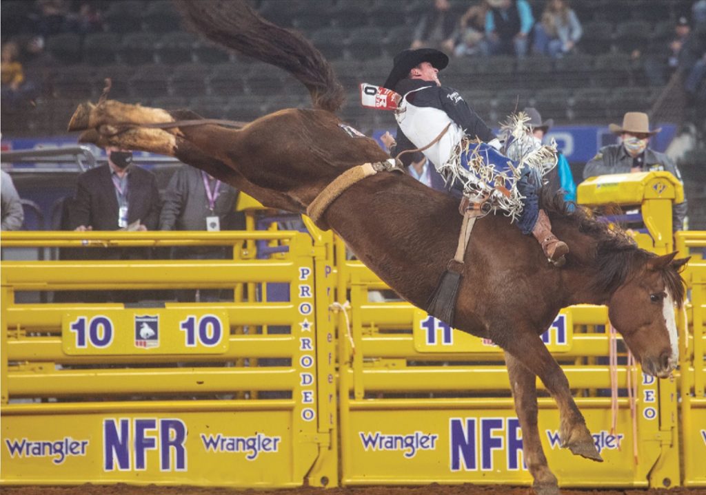 Studying the past decade of the Wrangler National Finals Rodeo, we list our top horse in all the NFR events.
