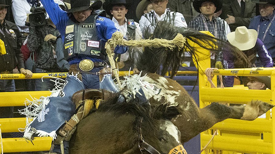 Here’s everything you need to know about the PRCA top 15 Saddle Bronc Riders headed to the 2023 Wrangler NFR in December.