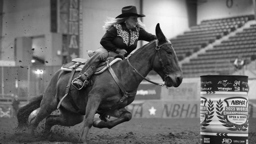 I have a healthy admiration and respect for the long-eared creatures although my experience with mules was humbling and somewhat fleeting.