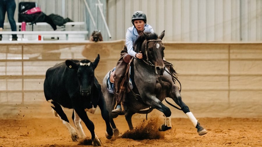 Photography by Kathy Gabriel Photography