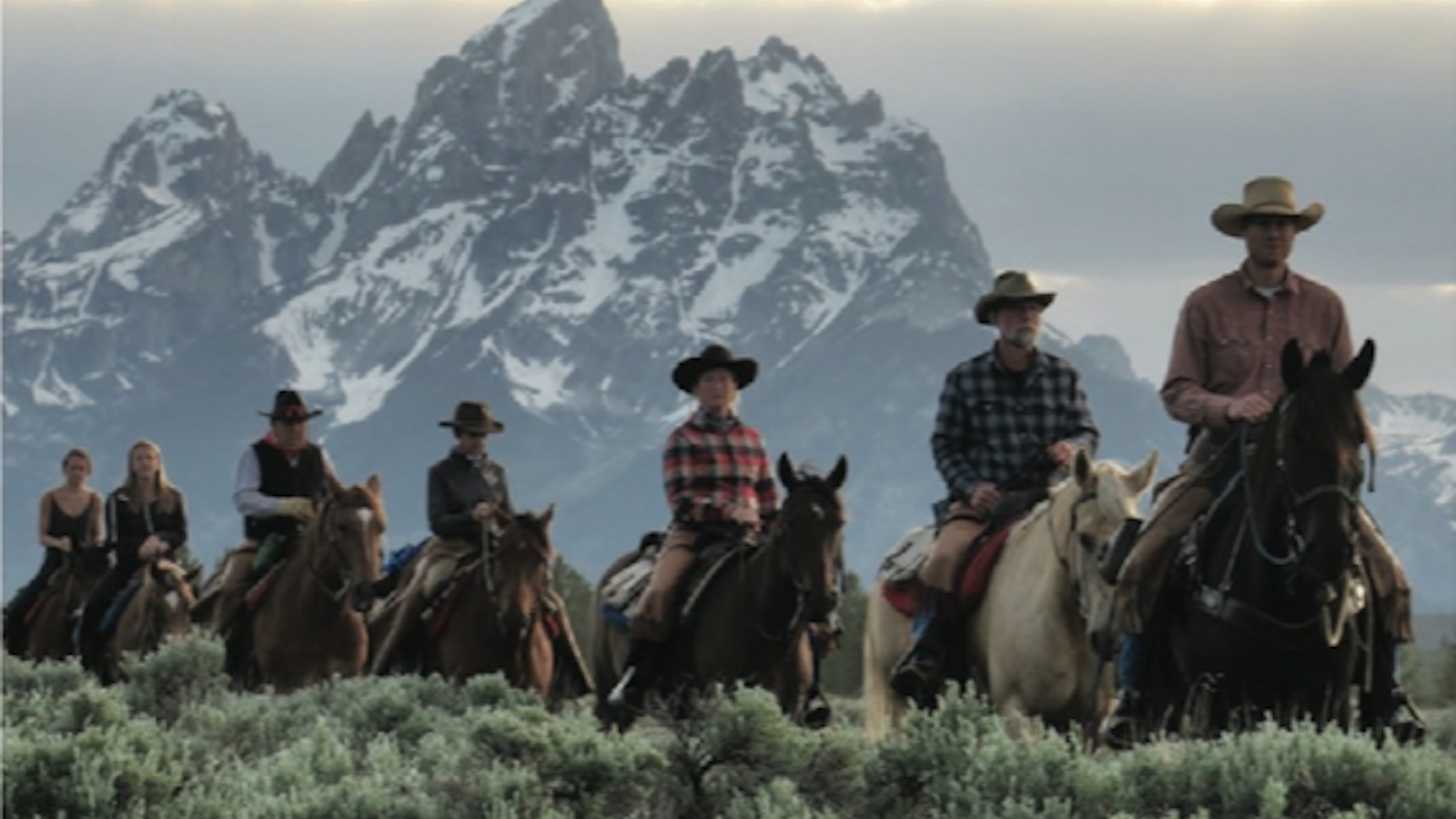 Prepare for a career in the horse world with a specialized equine college program and as an intern in the field.
