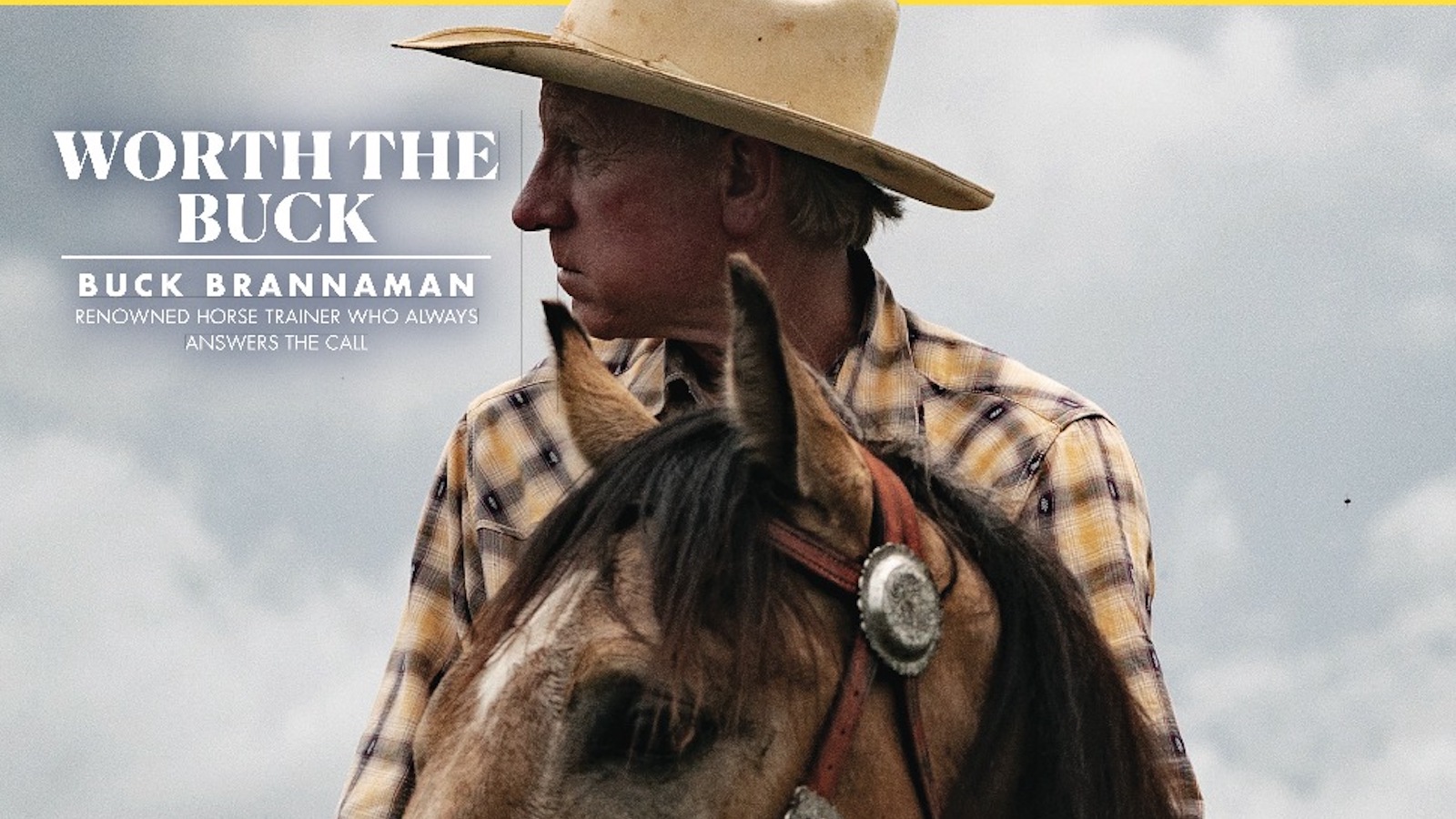 This issue is full of stories about the early stages of a horse’s life, from the time they hit the ground to the first saddle on their back.