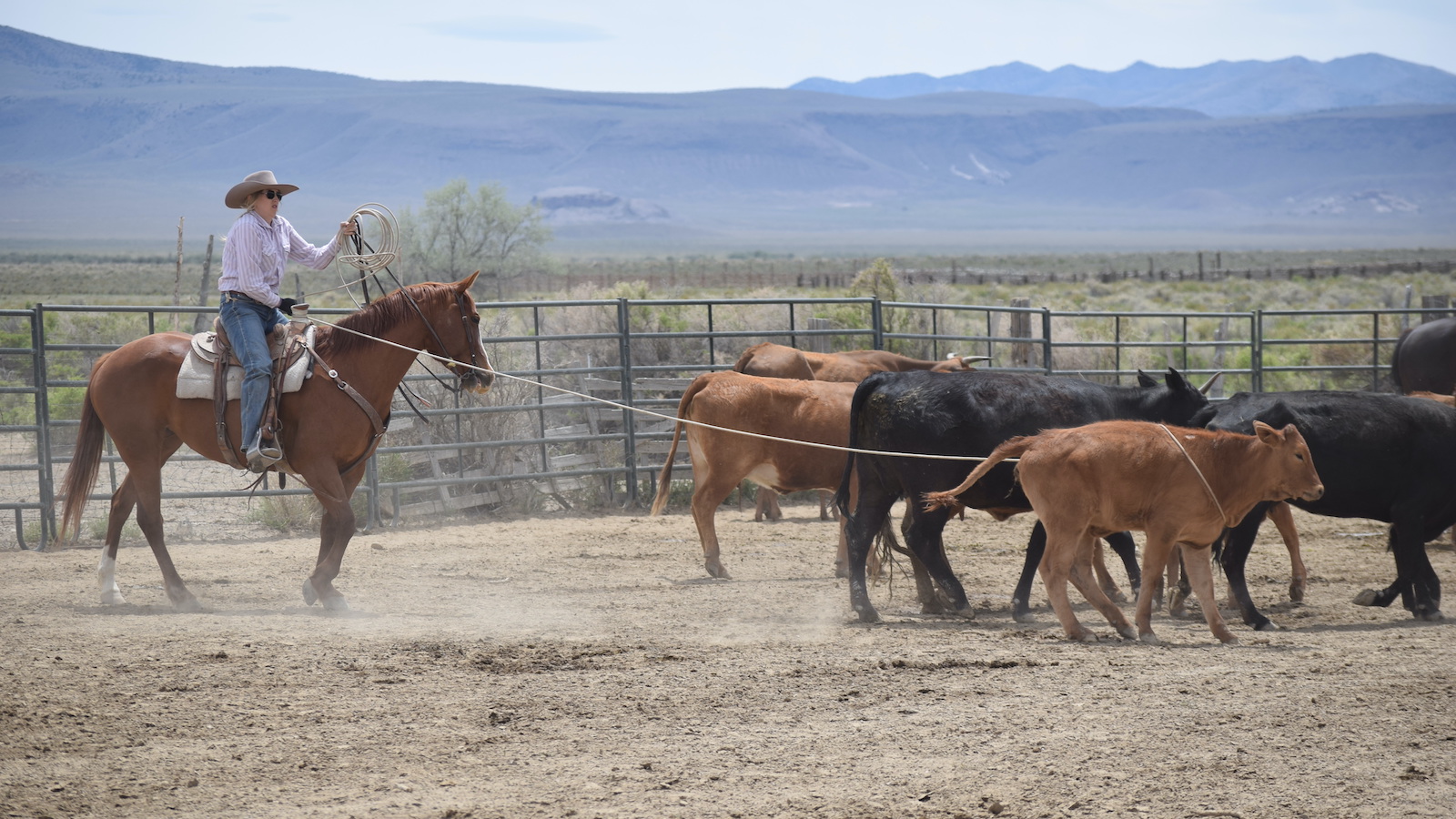 It’s no surprise that real Western women have real wisdom to share. Check out these cowgirl quotes from real Women of the West.