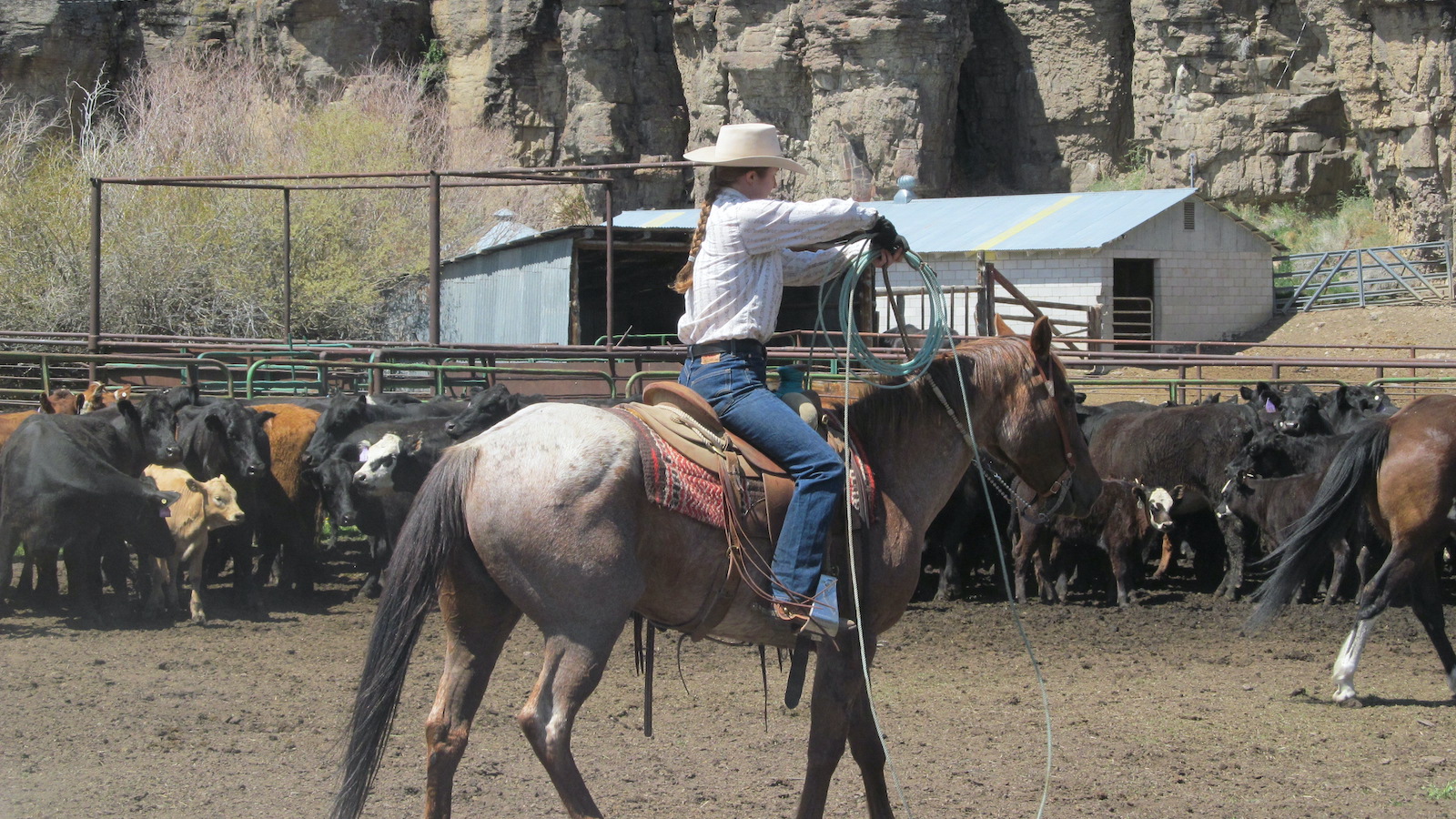 Here are some simple tips and tricks from a ranch wife that a cowgirl can use to be successful in her first ranch job.