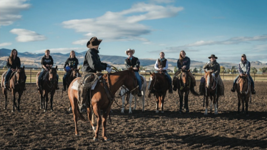 Prepare for a career in the horse world with a specialized equine college program and as an intern in the field.