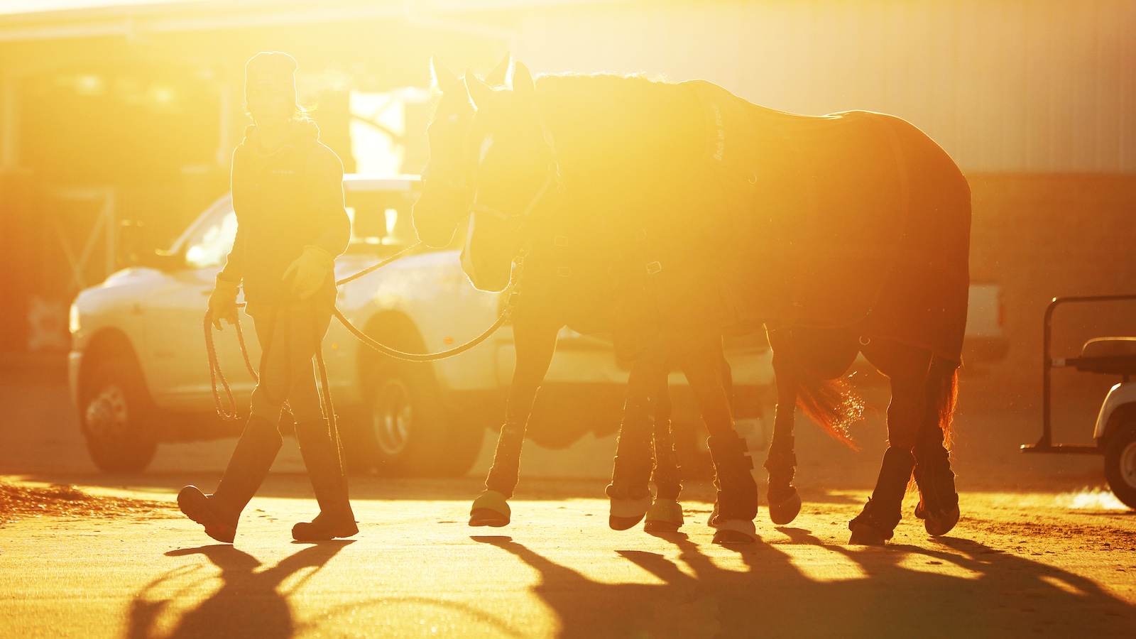 A person leads two horses while the sun shines behind them.