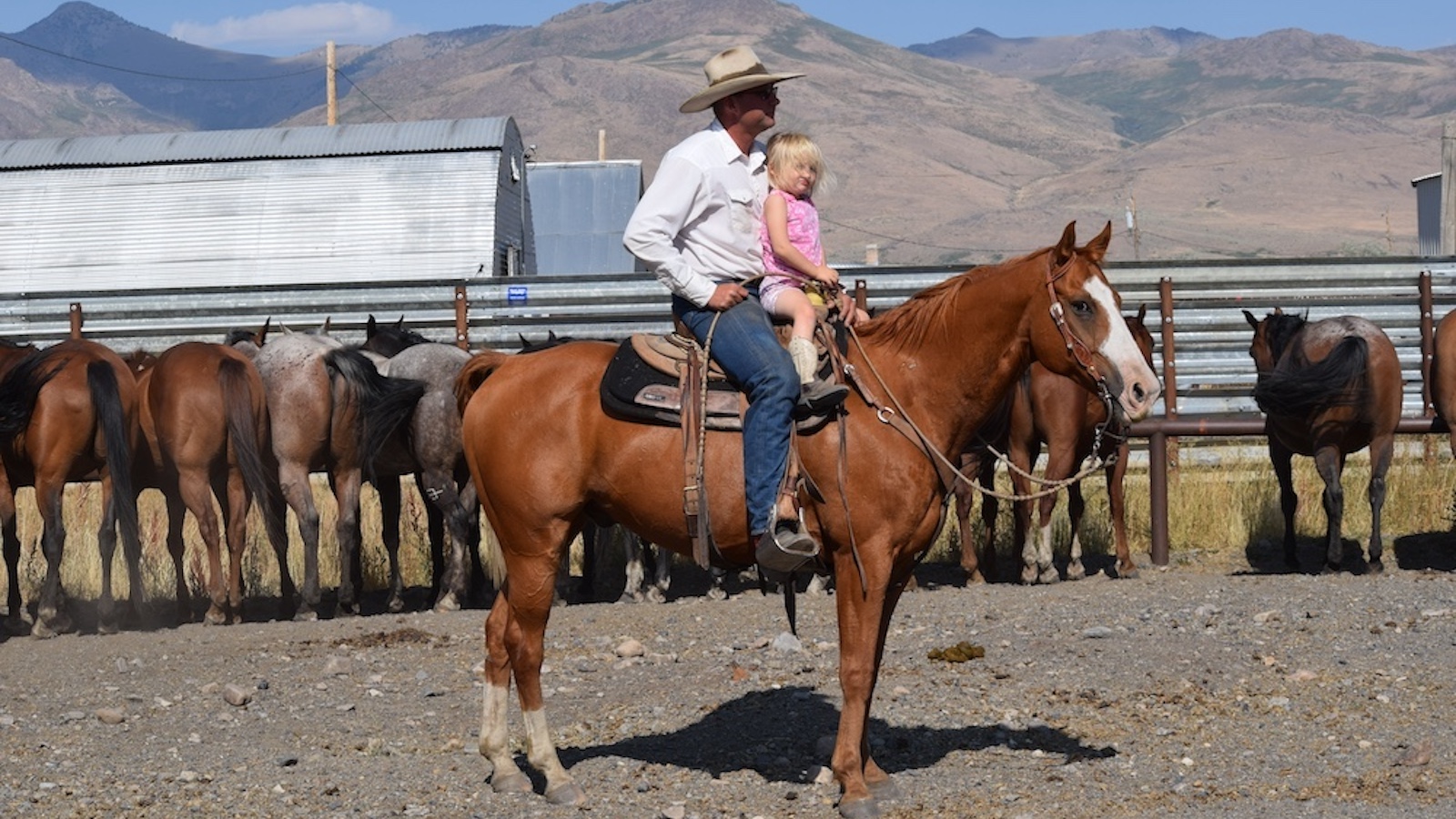 A man and a small child ride on a horse while other horses stand in the background.