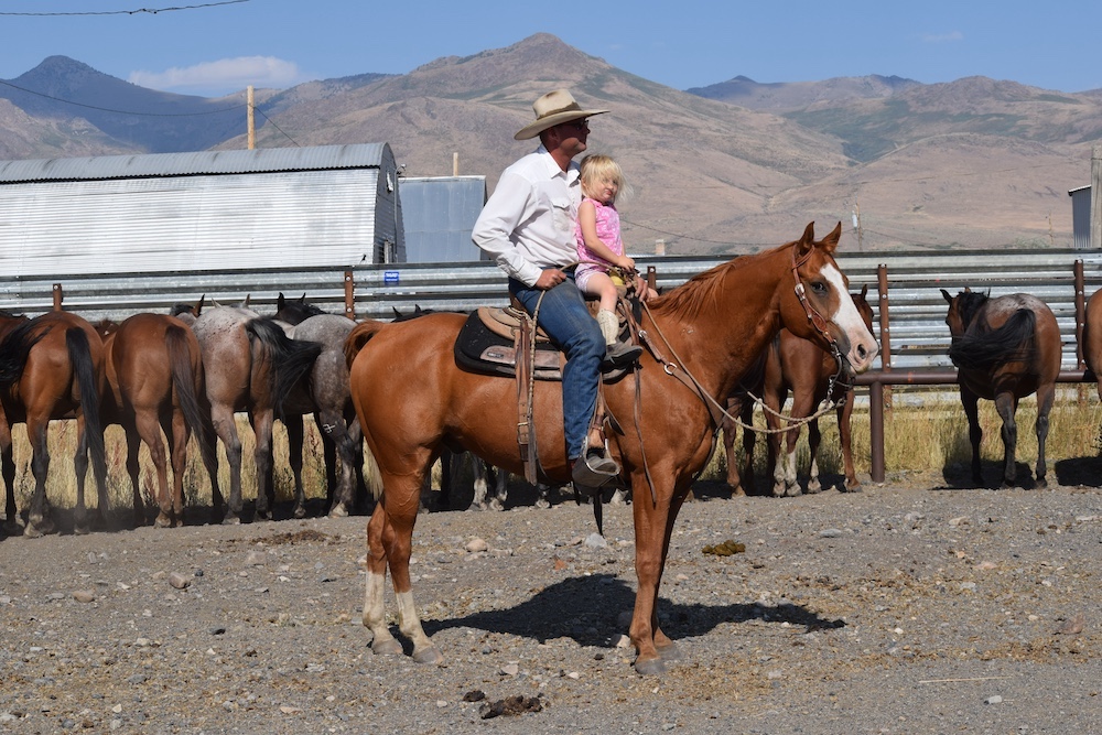 Horses are a lifelong passion that chooses a person, whether or not they were born into the horsemanship lifestyle.