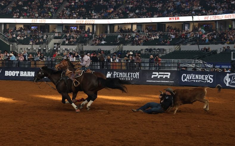 The American Rodeo was not one to be missed! With both returning champions and newcomers competing, there was plenty of action to be had.