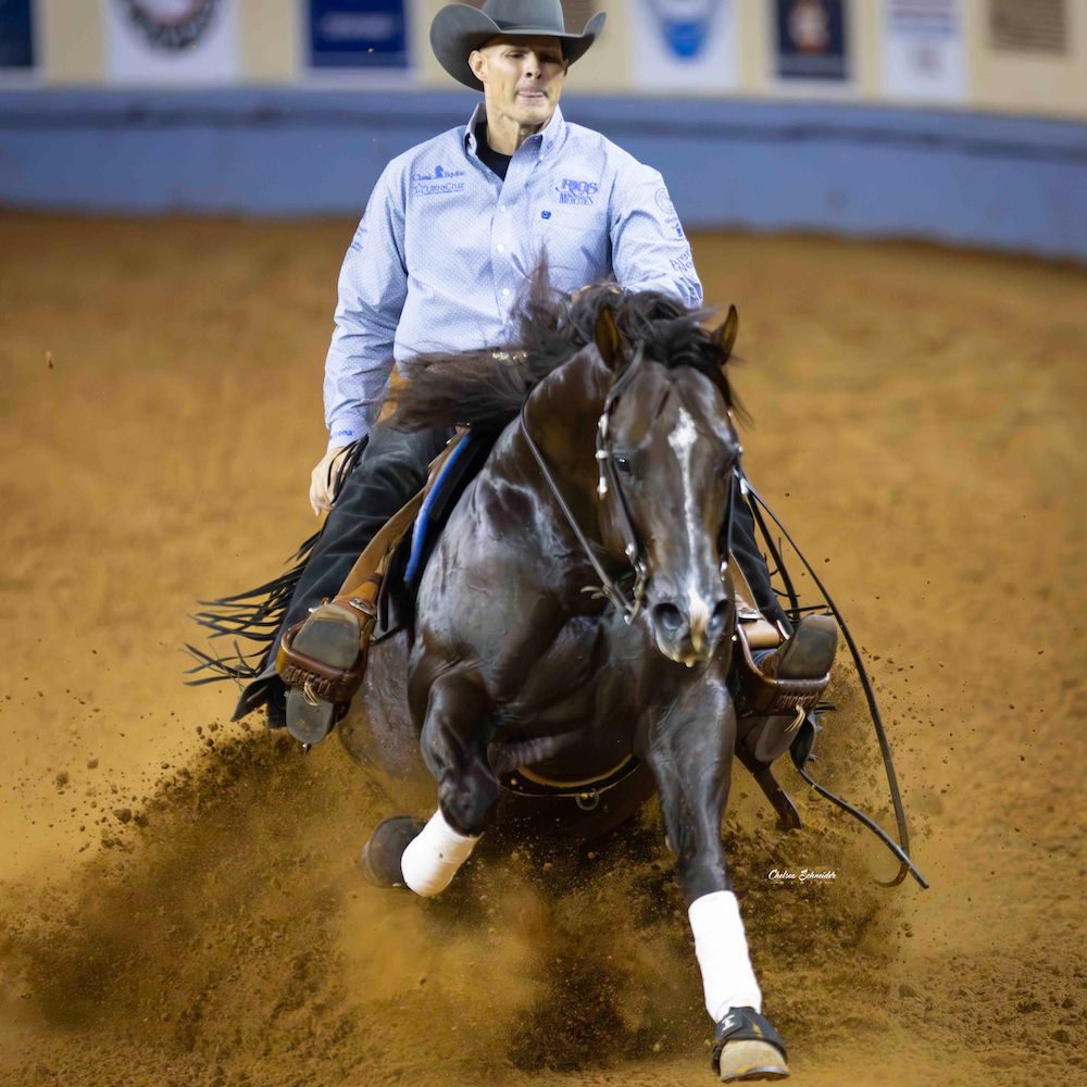 Get to know the top riders and horses from the NRHA, NCHA and NRCHA competing in the 2024 The American Performance Horseman teams.