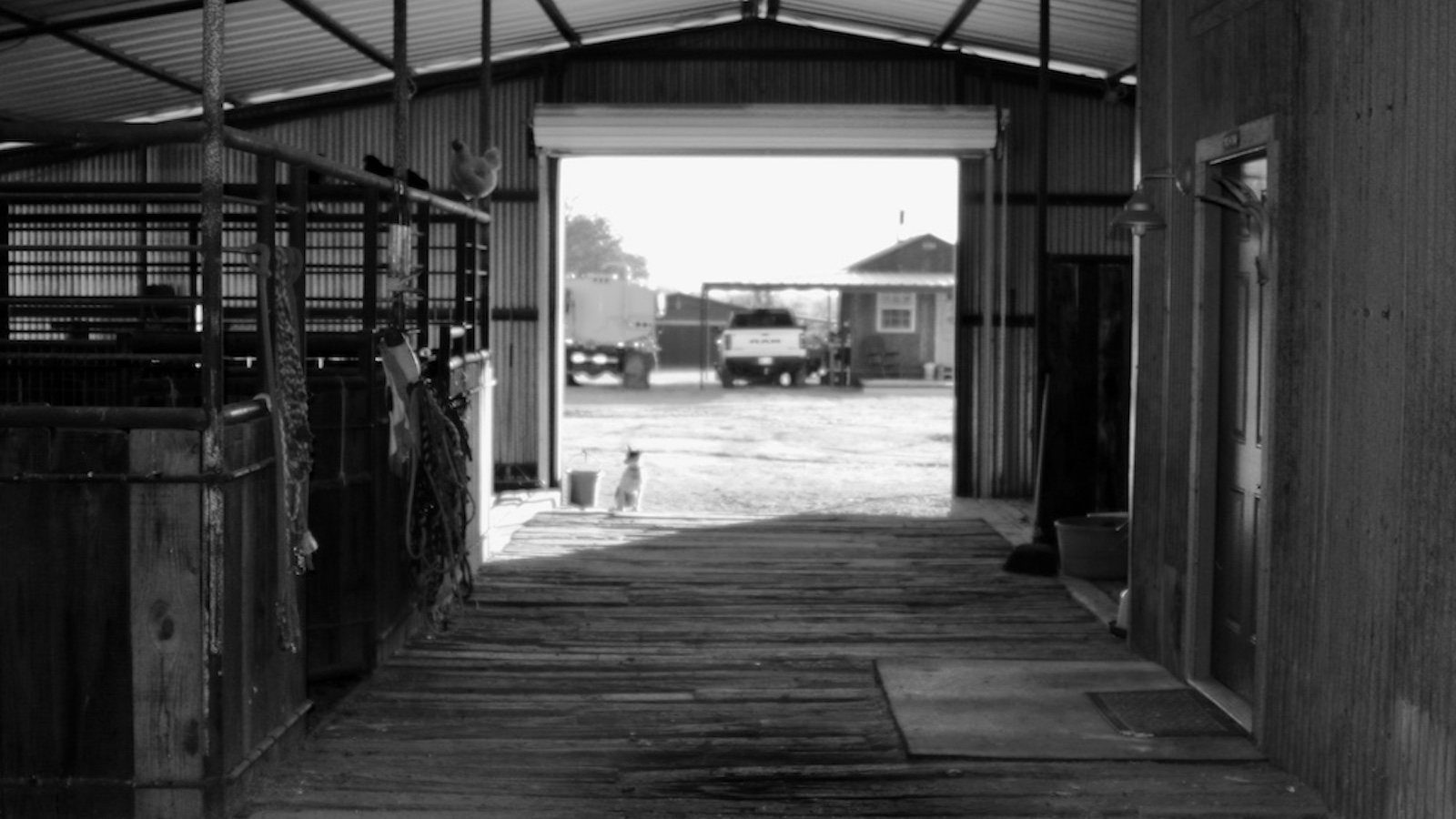 Kelli Neuber't barn aisle.