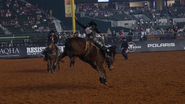 The American Rodeo was not one to be missed! With both returning champions and newcomers competing, there was plenty of action to be had.