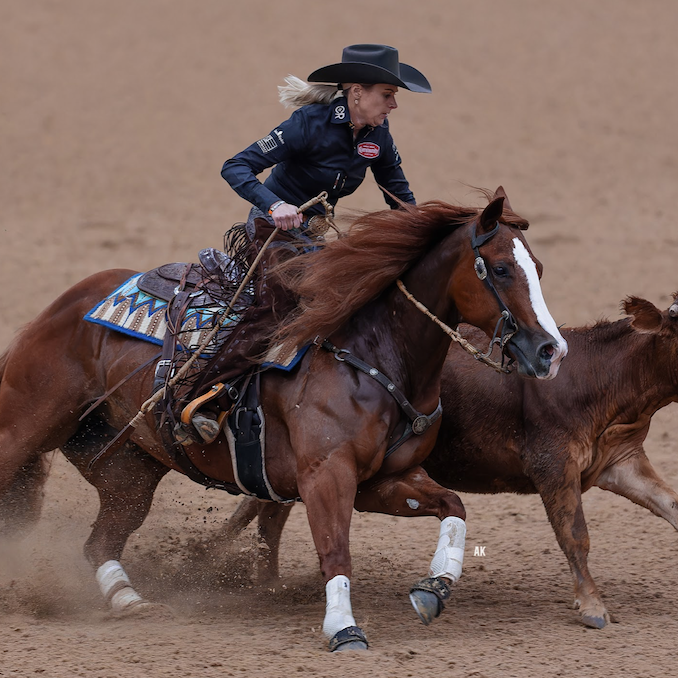 Get to know the top riders and horses from the NRHA, NCHA and NRCHA competing in the 2024 The American Performance Horseman teams.