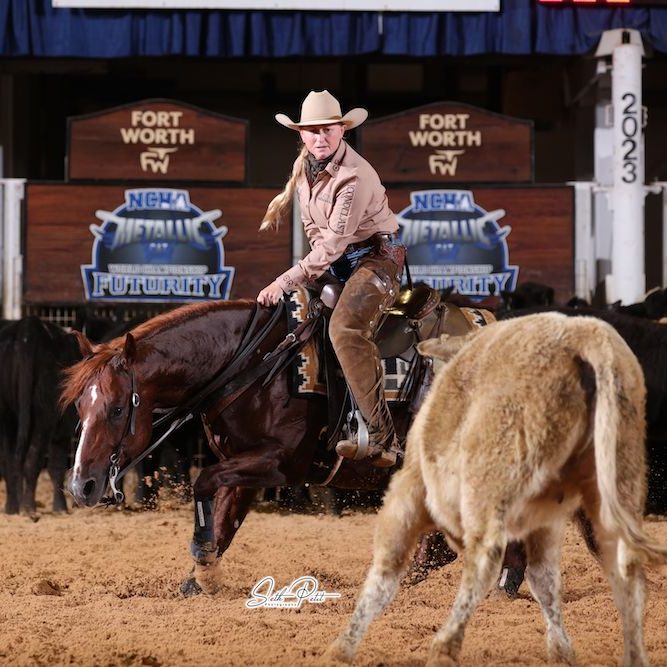 Get to know the top riders and horses from the NRHA, NCHA and NRCHA competing in the 2024 The American Performance Horseman teams.