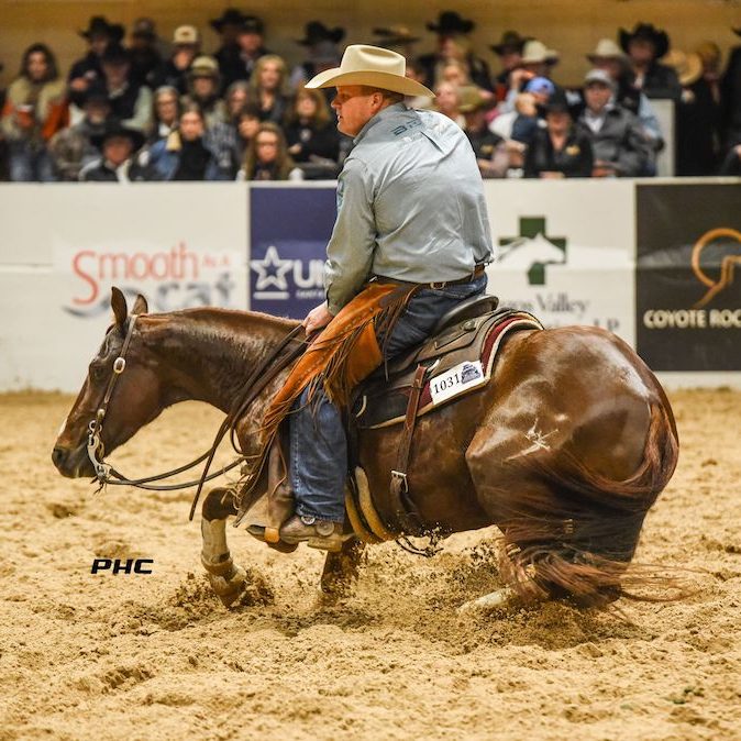 Get to know the top riders and horses from the NRHA, NCHA and NRCHA competing in the 2024 The American Performance Horseman teams.