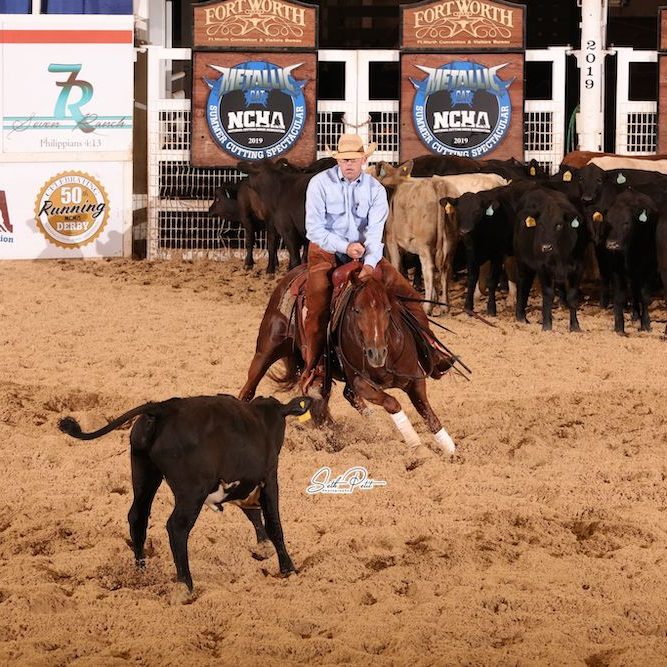 Get to know the top riders and horses from the NRHA, NCHA and NRCHA competing in the 2024 The American Performance Horseman teams.