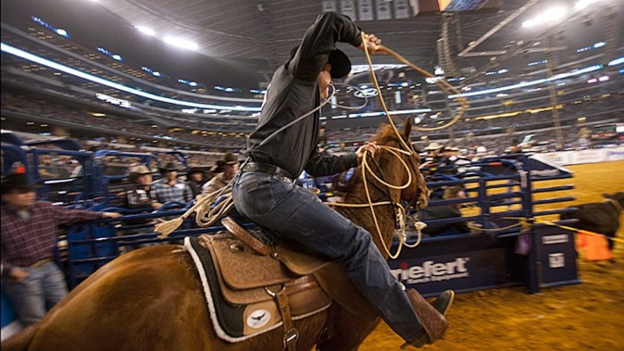 The American Tie Down Roping
