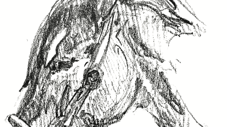 An illustration of a horse head.