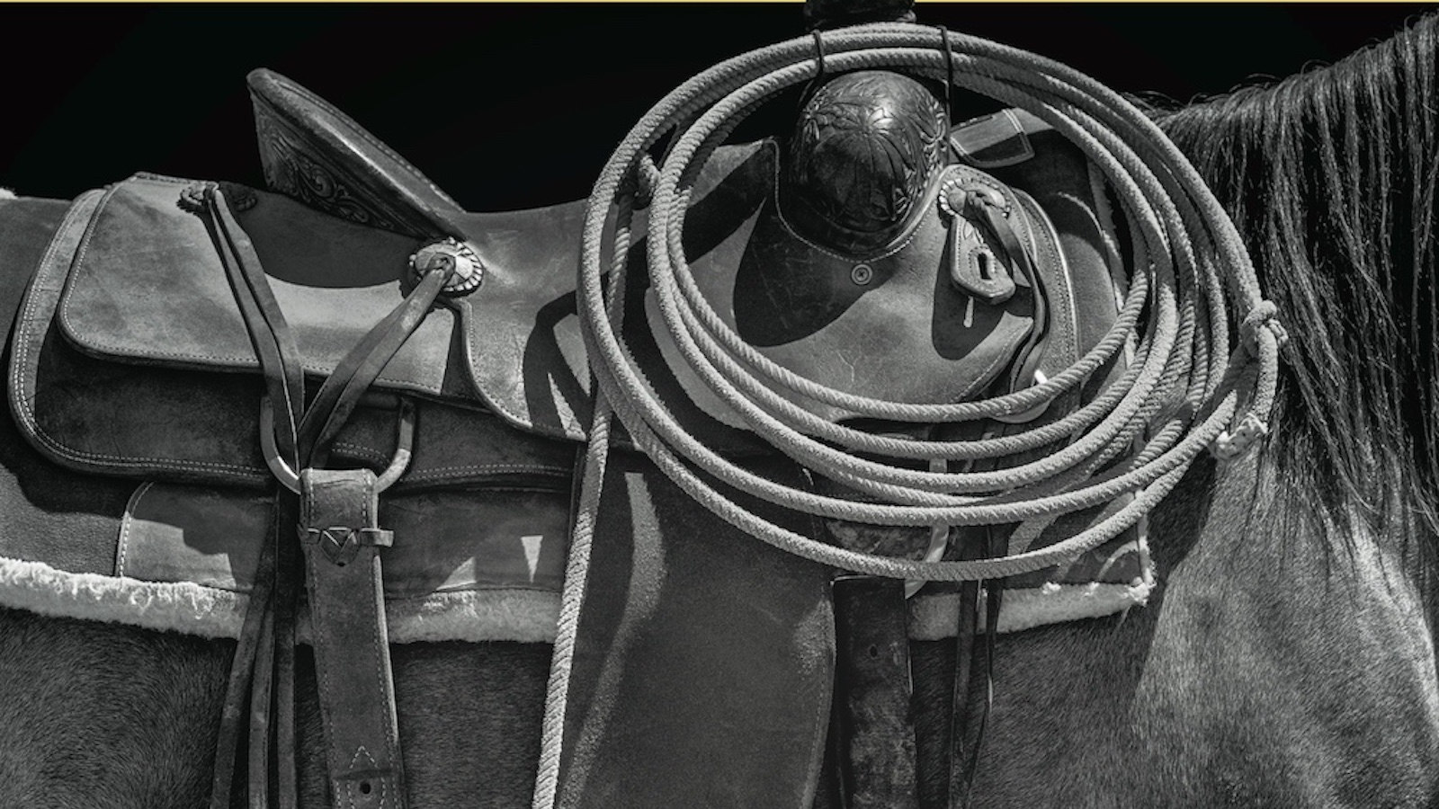 A saddle with a rope tied on.