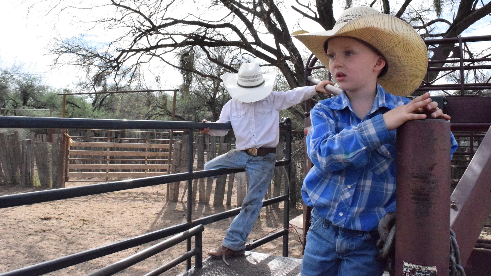 Despite being the third child, Levi has plenty of lessons to share, from impractical practicalities to curiosities about nature.