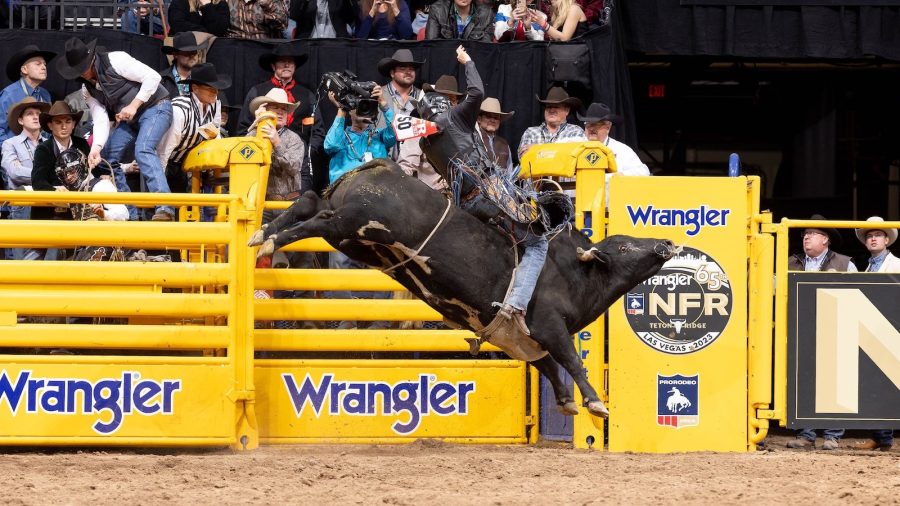 Jared Parsonage rode the bucking bull Umm at the NFR.