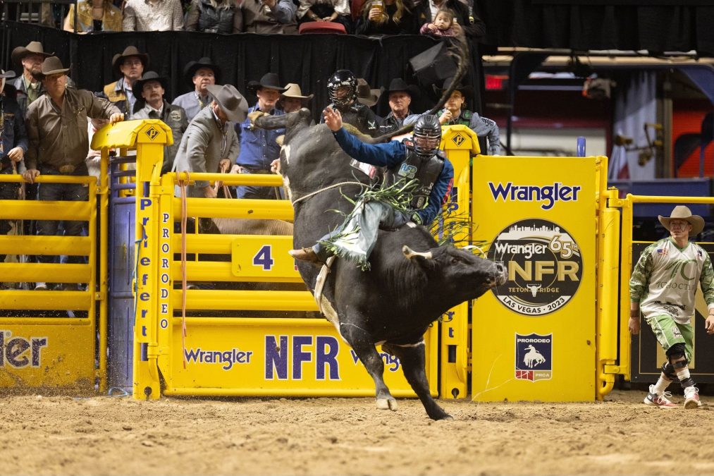 Jordan Hansen rode Umm at the NFR