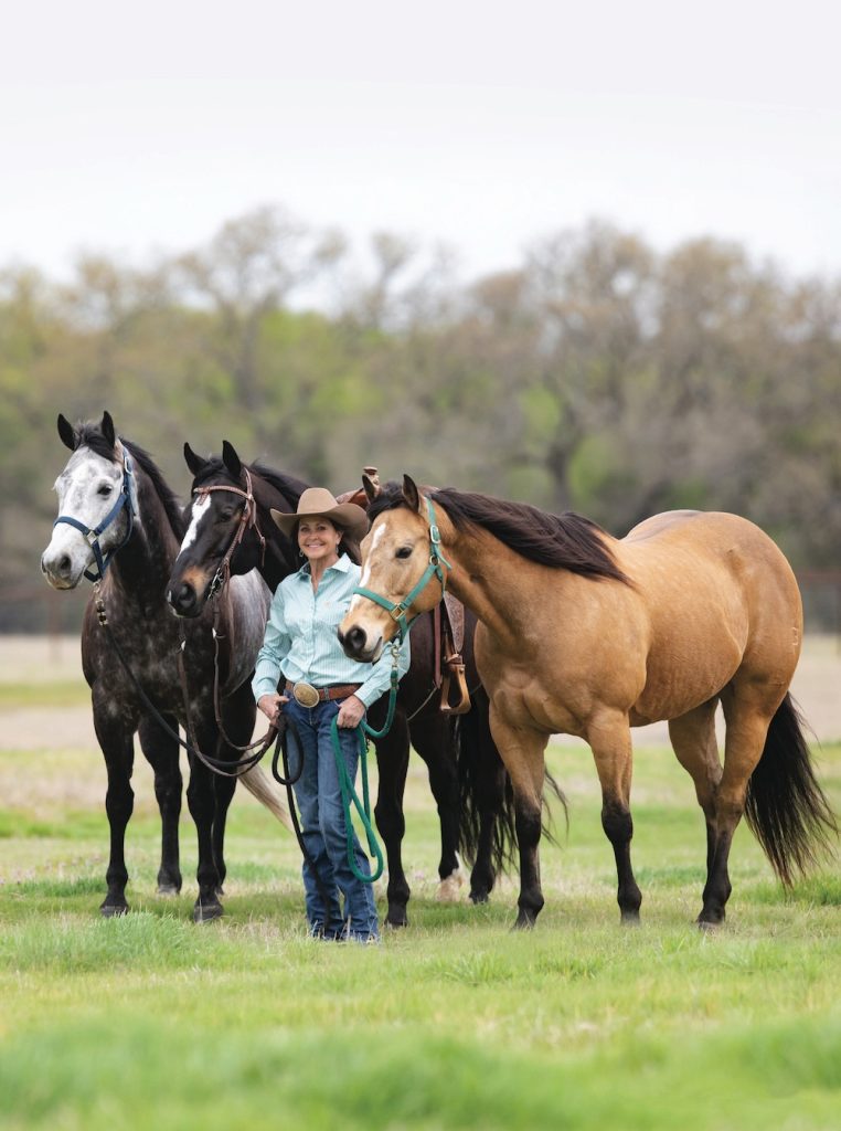 Lisa Lockhart holding three horses.