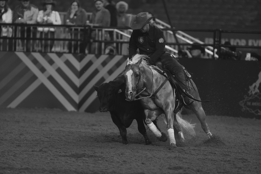Corey Cushing works the cow during The American Performance Horseman.