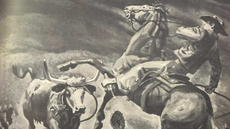 Illustration of a cowboy on a horse roping a wild cow in cacti, illustrated by Pers Crowell