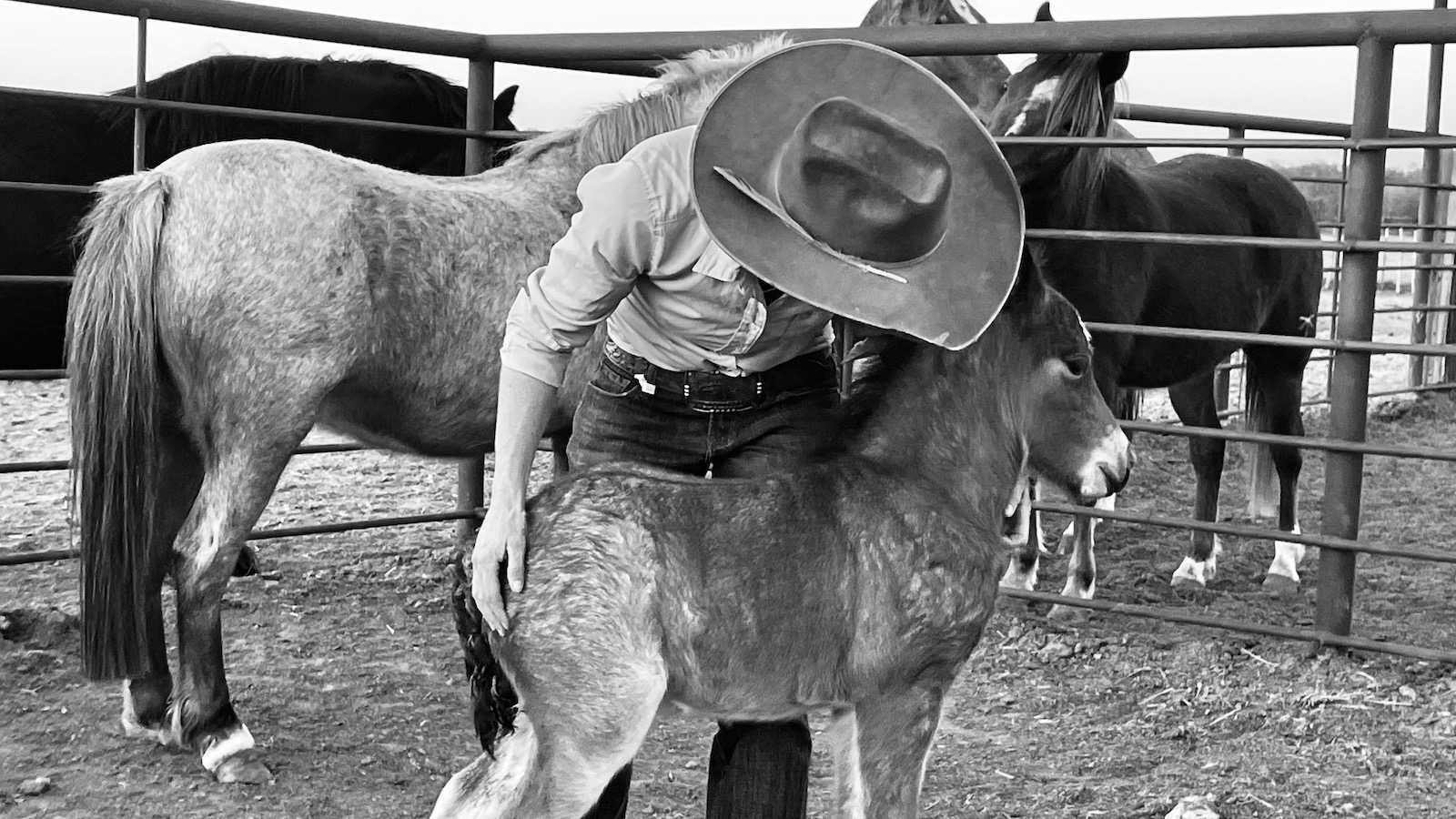 Horse trainer Kelli Neubert demonstrating unitasking.