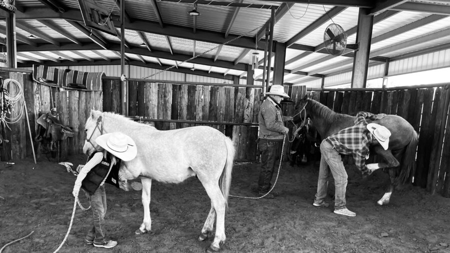 training horses to pick up their feet. Photography by Kelli Neubert