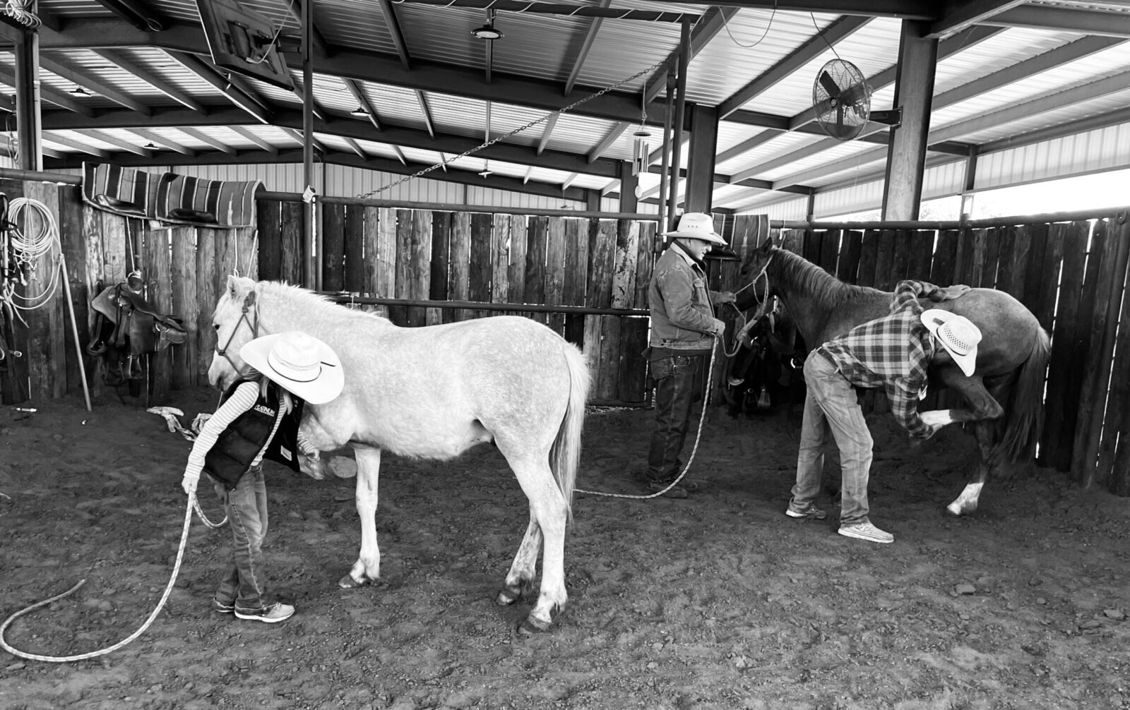 training horses to pick up their feet. Photography by Kelli Neubert